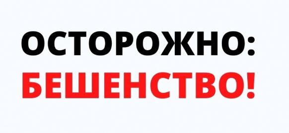 Бешенство, заболевание, про которое должен знать каждый Бешенство, заболевание, про которое должен знать каждый