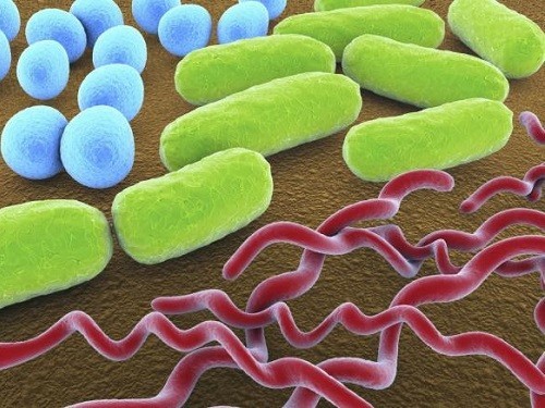 Пятиминутный тест обнаружит бактериальную инфекцию