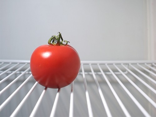 ученые.помидоры.холодильник.