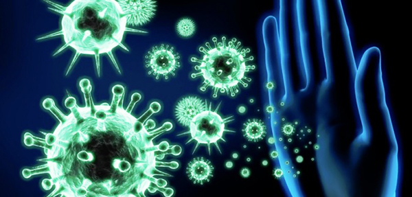 иммунная система оказывает влияние на поведение человека
