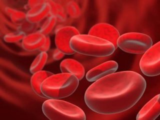 Ученые вывели искусственную кровь