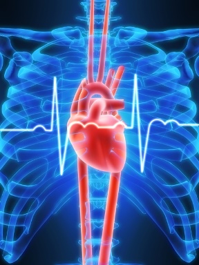 Искусственный клапан сердца, реабилитация, операция