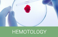 Hemotology medical branch image